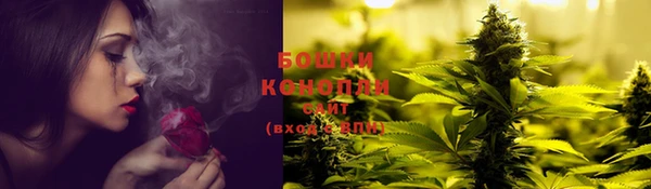 прущая мука Арсеньев