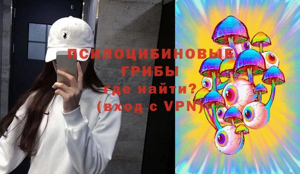 прущая мука Арсеньев