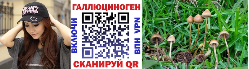 Псилоцибиновые грибы мицелий  OMG вход  Верхотурье 